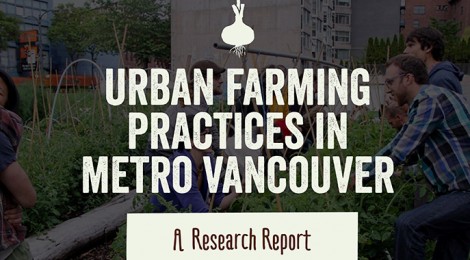 Diversity of practices for professional urban farmers