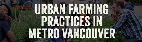 Diversity of practices for professional urban farmers